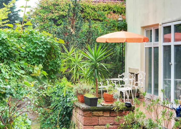 Charmante Altbauwohnung Mit Gartenblick Apartment